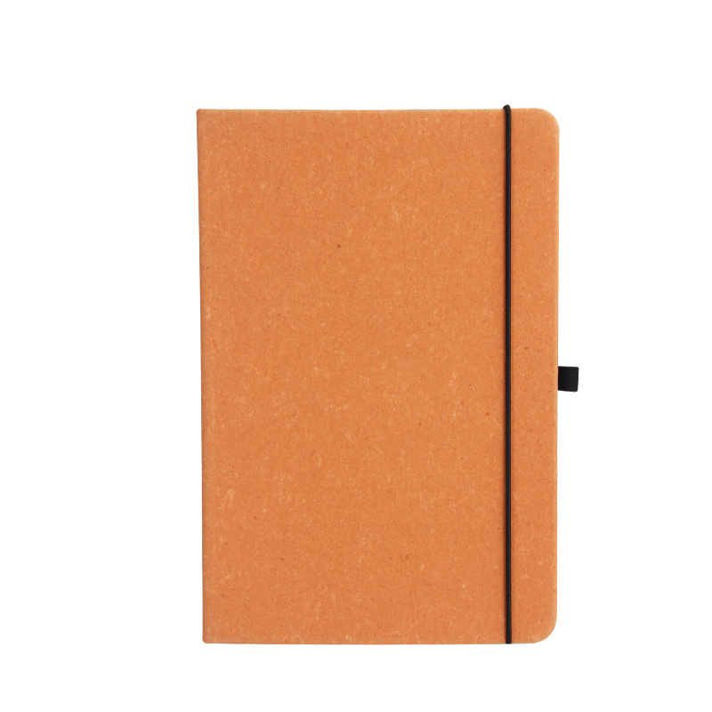 RPU Notebook PM-5031